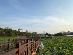 -南宁南湖公园