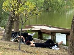 -上海长兴岛郊野公园