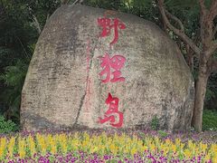 -野狸岛