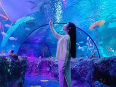 -沈阳海洋探索中心