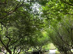 -大蜀山国家森林公园