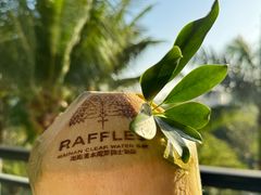 -海南清水湾莱佛士酒店