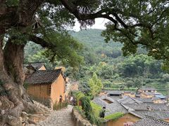 -杨家堂村