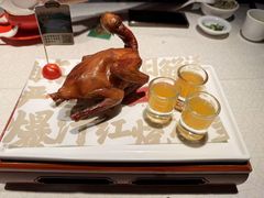 -大鸽饭(动物园店)