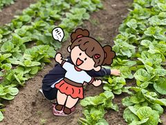 -前小桔亲子创意农场·草莓采摘·露营烧烤