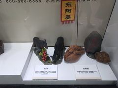 -上海市第一医药商店(南京东路店)
