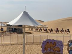 -银肯塔拉沙漠生态旅游景区