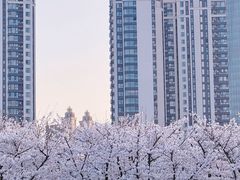 -龙美术馆(西岸馆)