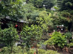 -南诏风情岛
