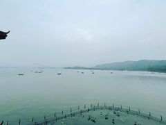 -湖畔居茶楼(湖滨店)