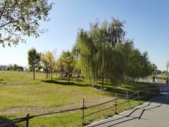-马家湾湿地公园