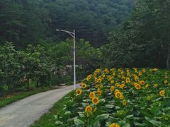 -北京山里寒舍度假酒店