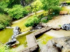 -上海吴淞炮台湾国家湿地公园