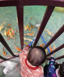 点击看大图 -酷嗒动物文化乐园(cutezoo西溪乐天城店)