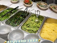 -油梨树AVOCADO TREE(望京店)