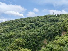 -平湖九龙山旅游度假区