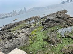 -黑石礁公园