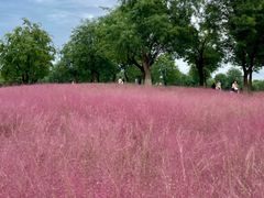 -汉长安城未央宫国家考古遗址公园