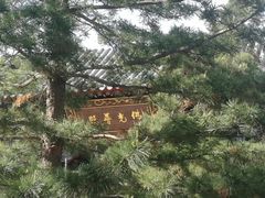-长安寺