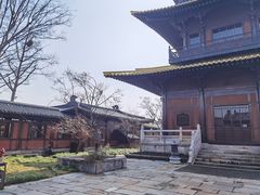 -广富林郊野公园