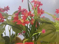 -胖东瓜·浏阳菜馆(火车站店)