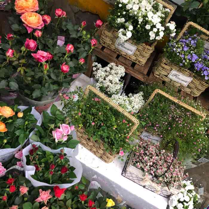 循礼门鲜花花市-"#位置循礼门那边 感觉武汉现在 很少 .