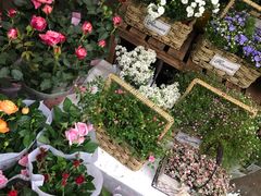 -循礼门鲜花花市(武汉循礼门店)