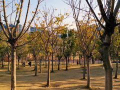 -牛岗山公园
