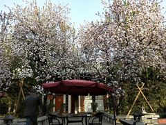 -大唐博相府酒店·陕西官府菜