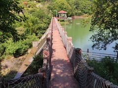 -广州白江湖森林公园