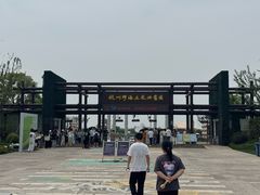 -杭州湾海上花田景区