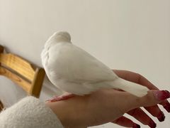 -么哈MOJAR(厦门云城万科里店)