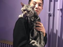 -AOE 火焰 剧本密室狼人杀