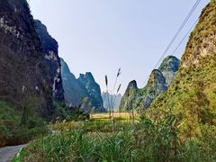 -明仕田园