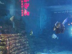 -烟台海昌鲸鲨海洋公园