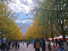 -辽宁大学(崇山校区)