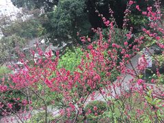 -乌山风景区