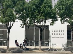 -收获咖啡HARVEST RESERVE(苍山店)