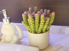 -海底捞火锅(长沙华创国际广场店)