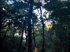 -长春净月潭风景名胜区