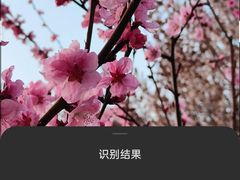 -西安世博园