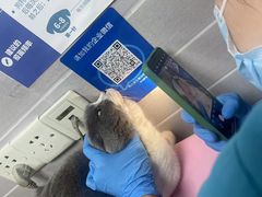 -芭比堂动物医院·心脏专科·夜诊·吉雅分院