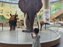 -陕西自然博物馆