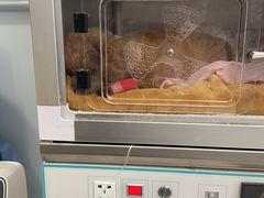 -北京派仕佳德动物医院·超导核磁·CT·神经科·骨科·内外科·急重症管理中心