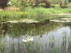 -永定河休闲森林公园