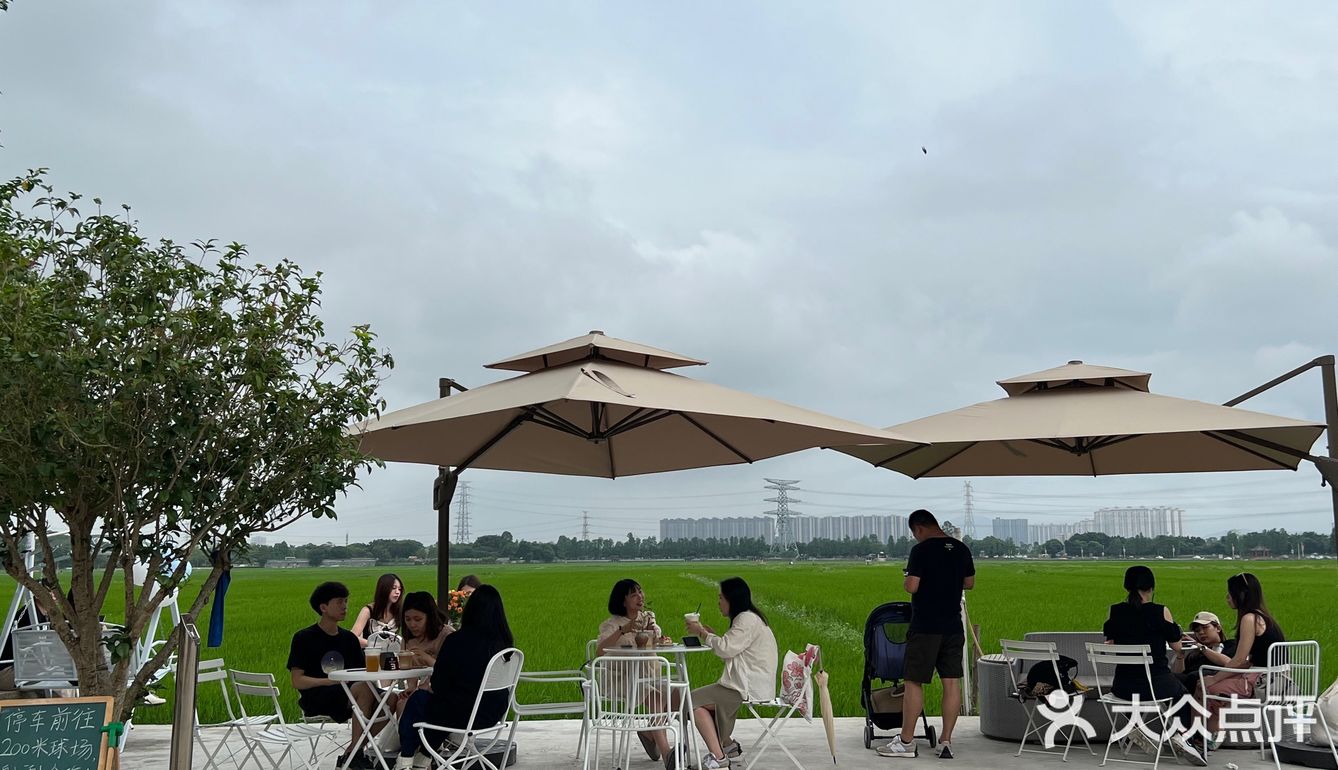 ✨打卡✨新晋稻田咖啡店- OLD BOY COFFEE