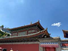 -塔尔寺-菩提树
