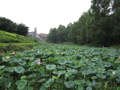 湖-广东轻工职业技术大学(新港校区)