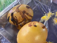 -韩乐坊