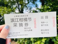 -上海滨江森林公园